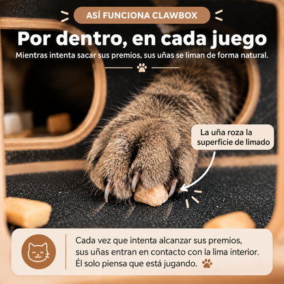 ClawBox™ | Lima sus uñas mientras juega