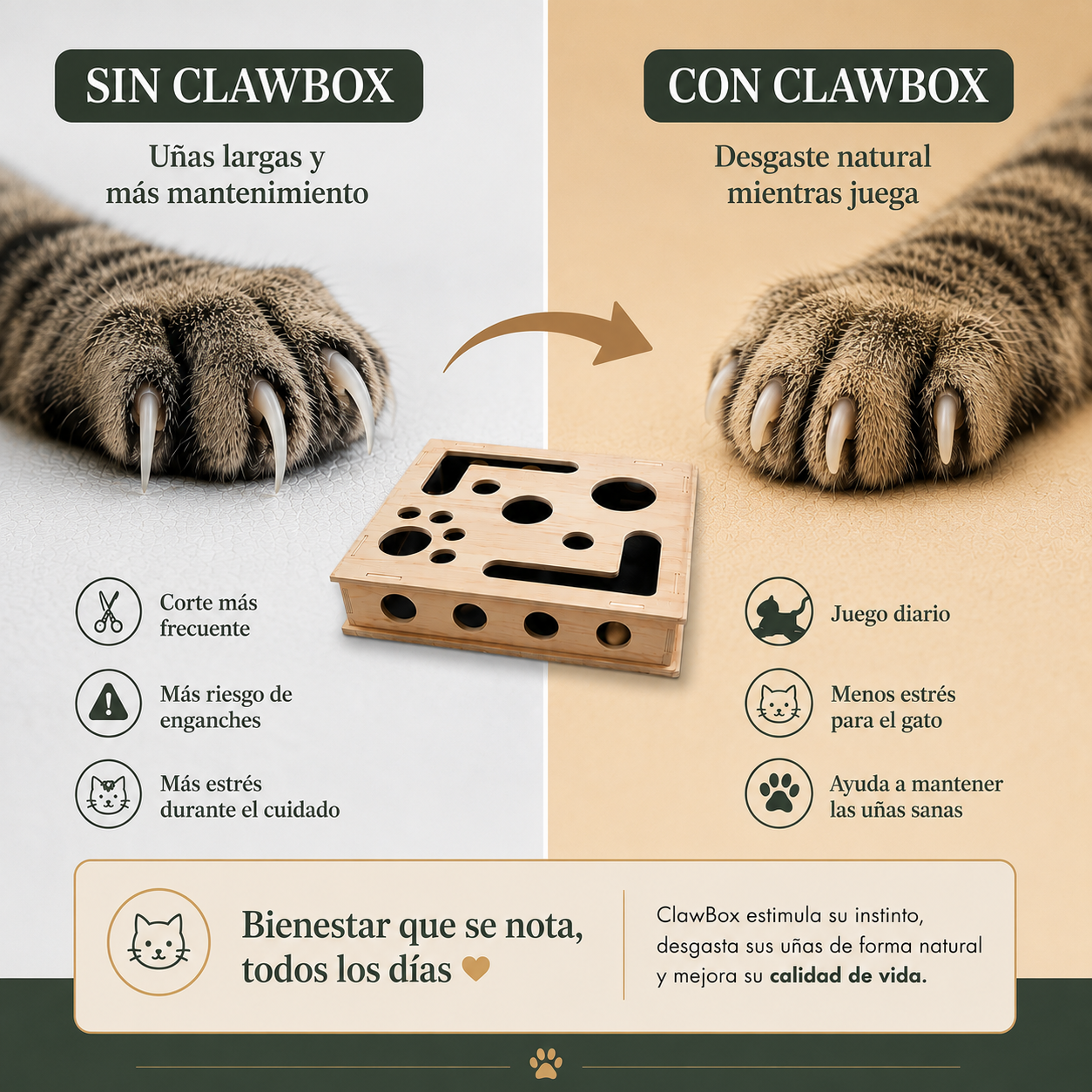 ClawBox | Lima para gatos